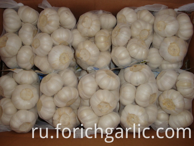 Pure White Garlic